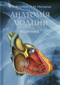Анатомія людини. Підручник. Волкової Ст. А. Млоштан Л. М. 1096626846 фото